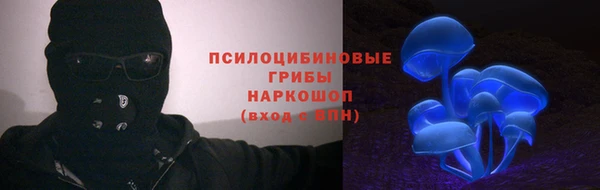 бошки Алексин