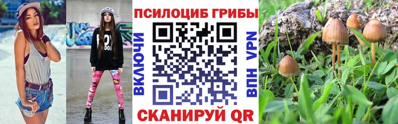 Псилоцибиновые грибы MAGIC MUSHROOMS  Вытегра 